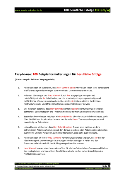 4_ceo_berufliche_erfolge
